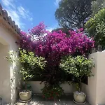 Maison Loulou